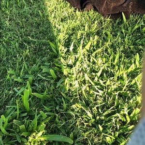 Meet your Posher, Freddie